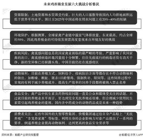 Ozon中国卖家当前经营状况如何？机遇与挑战并存的新局面解析