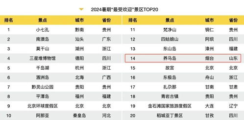 2024年最赚钱的共享项目盘点：哪些项目最受欢迎？