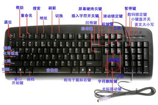 如何全面掌握电脑键盘使用方法与技巧？图解大全解析电脑键盘用法