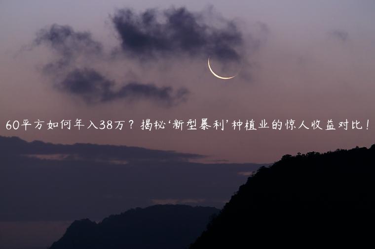 60平方如何年入38万？揭秘‘新型暴利’种植业的惊人收益对比！