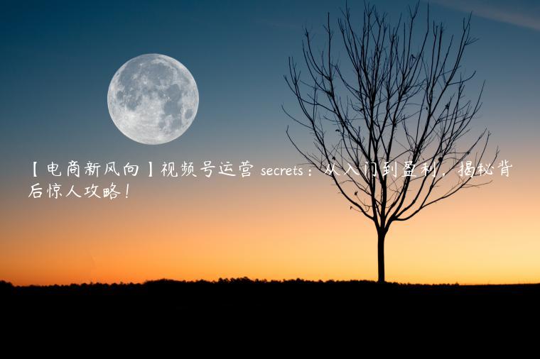 【电商新风向】视频号运营 secrets：从入门到盈利，揭秘背后惊人攻略！