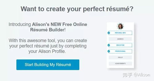 如何打造完美简历？简历应具备哪些要点和技巧才至关重要？