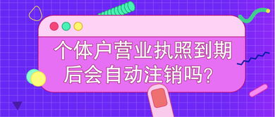 绘圈有哪些规则和术语？绘圈新手须知及常见用语大全解释