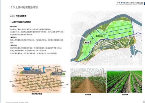 如何撰写村集体养牛发展方案模板？详解合作社实施方案与规划图