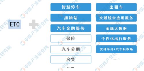 养七彩鱼真的能赚钱吗？揭秘其盈利模式和前景分析