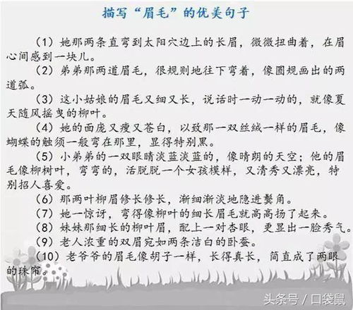 怎样用英语表达“春节可以放鞭炮”？简短作文及翻译示例