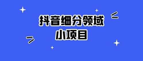 抖音团购项目如何赚钱与操作？其可靠性与成功关键是什么？