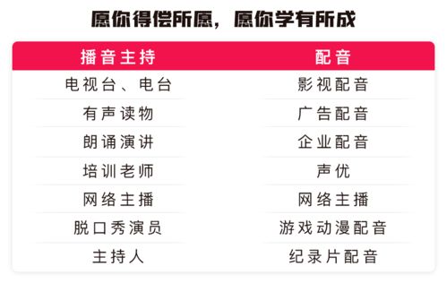 如何用英文准确表达'做兼职'？求专业指导！