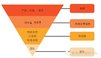 哪些企业采用低成本战略成功进入全球市场并提高竞争力？