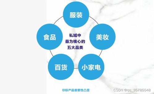 电商与私域电商有何区别？跨境电商、2B电商及AL电商又指什么？