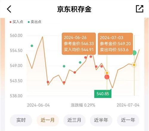 一万元投资，真的能覆盖16个项目吗？如何实现高效分配？