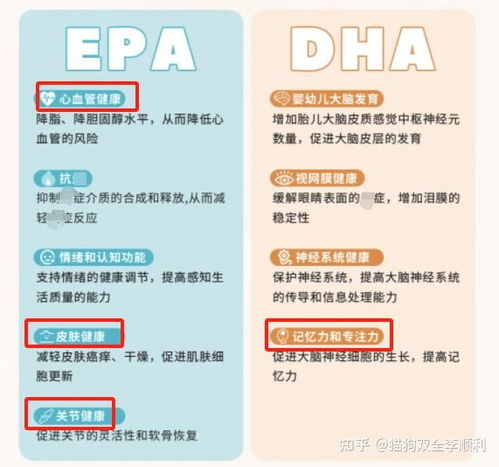 京博油质量如何，使用体验是否值得推荐？