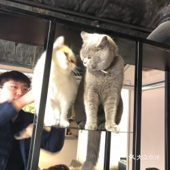 猫小院兼职工作时间和营业时间有何不同？