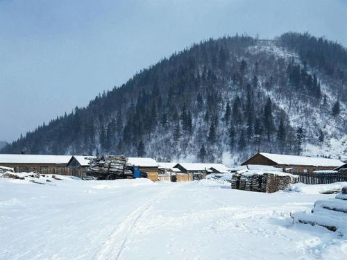 皑皑白雪究竟是什么意思？皑皑白雪的优美句子及正确读音一览