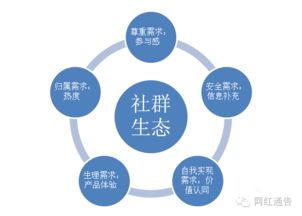 社群电商涵盖哪些平台与优势？多种类型与行业实践解析