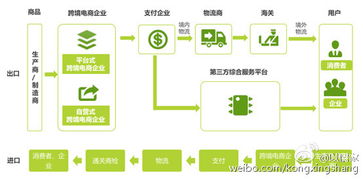 开电商公司需要哪些设备和流程？如何计算初期投资及必备手续？