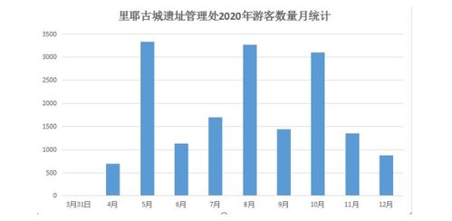 景区景点旅游市场分析：如何准确把握市场趋势与游客需求？