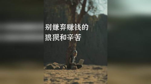 为何你总嘲笑我赚钱时的狼狈模样？