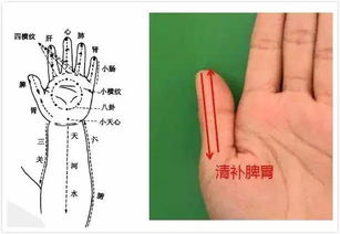 如何判断调脾胃推拿效果？需要做几次？多久可见效？