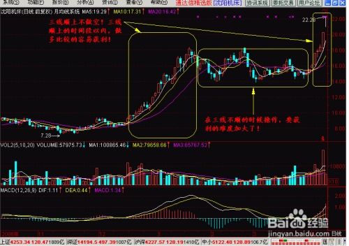 新手炒股如何入门？怎样操作才能稳步盈利？