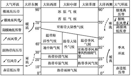 教程与教学有什么区别？它们的含义、关系及基本原理详解