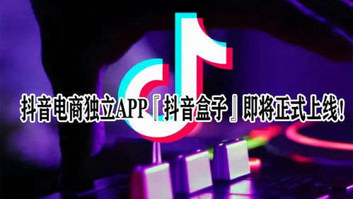 如何寻找高质量的抖音带货视频素材？有哪些推荐网站和APP？