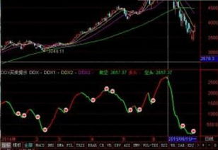 如何使用查股网DDX选股指标进行实时数据分析和个股行情查询？