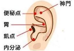 右耳真的能带来财运吗？揭秘耳朵与财富的神秘关联