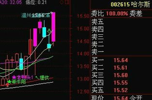 一点盈和一点点投资平台，真的能带来稳定收益吗？