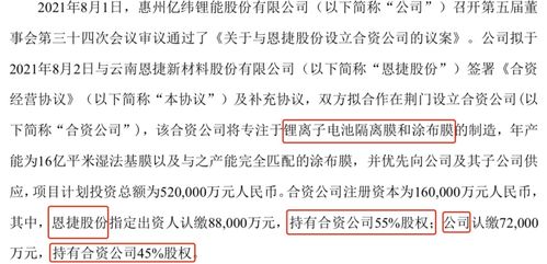 怎样开办一家锂电池生产厂？需要哪些手续和投资预算？