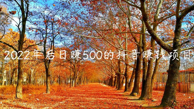 2022年后日赚500的抖音赚钱项目