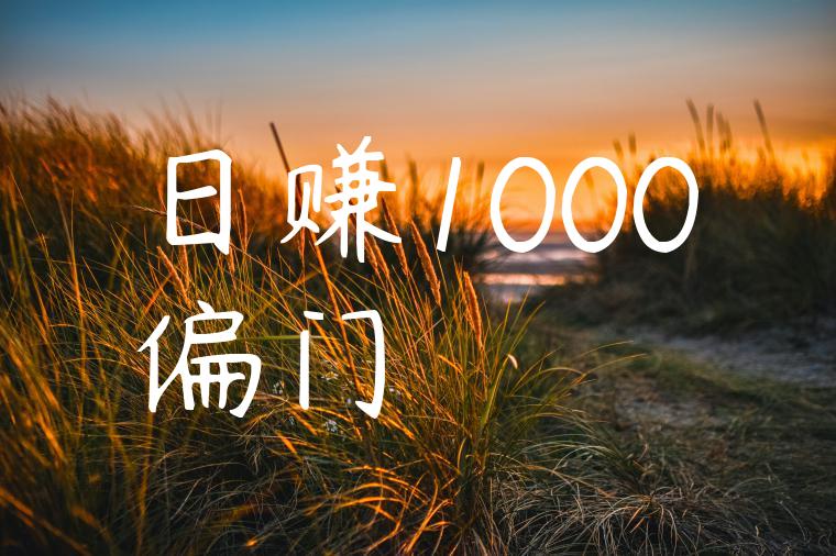 日赚1000偏门