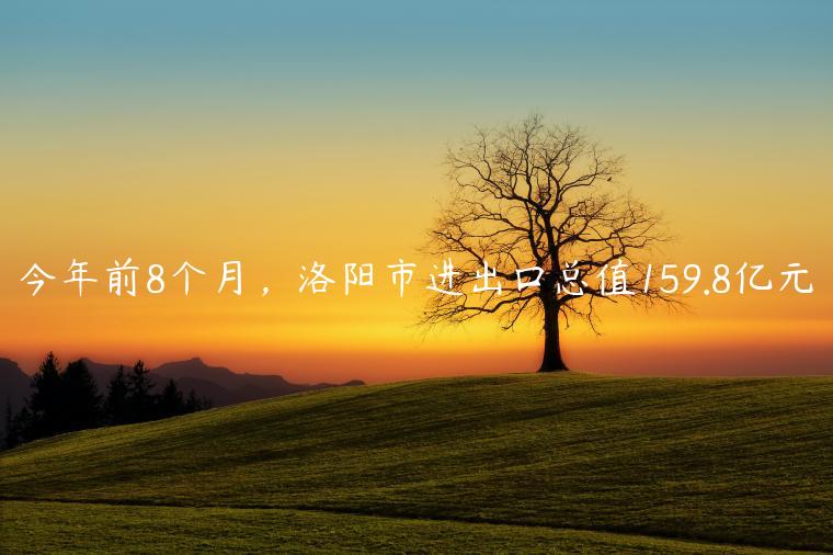 今年前8个月，洛阳市进出口总值159.8亿元