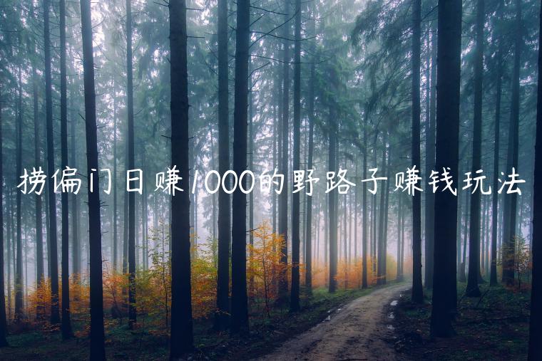 捞偏门日赚1000的野路子赚钱玩法