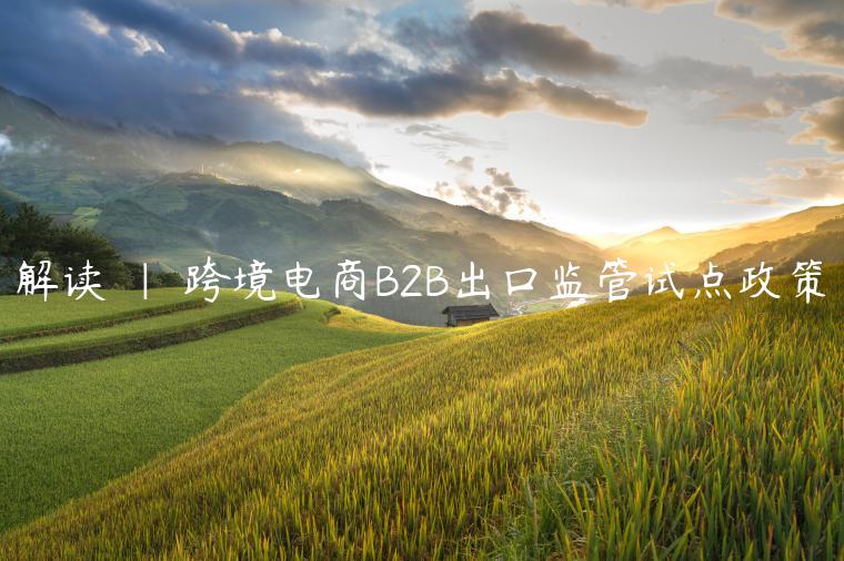 解读 ｜ 跨境电商B2B出口监管试点政策