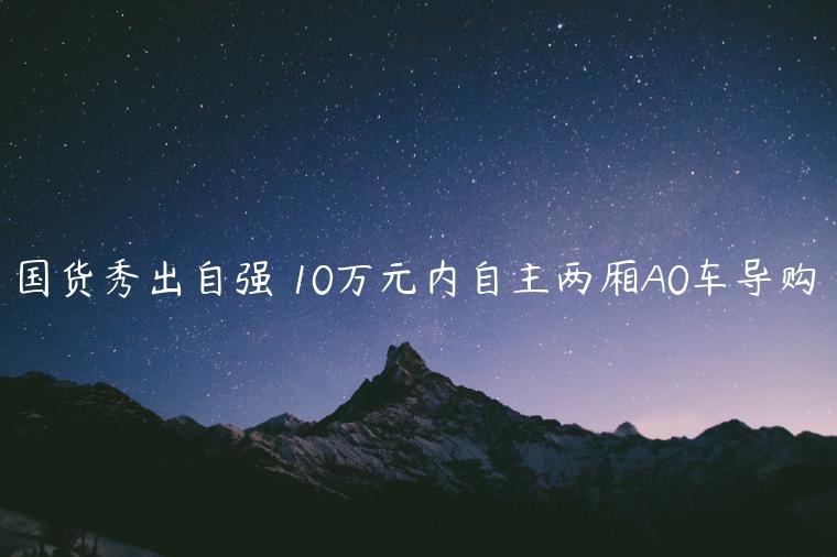 国货秀出自强 10万元内自主两厢A0车导购