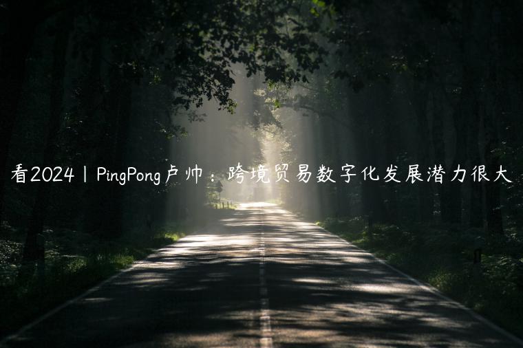 看2024｜PingPong卢帅：跨境贸易数字化发展潜力很大