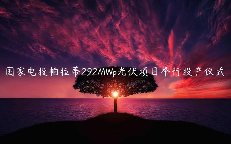 国家电投帕拉蒂292MWp光伏项目举行投产仪式