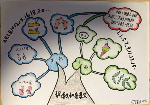 二年级数学：哪些是偶数？奇数与偶数手抄报内容如何制作？