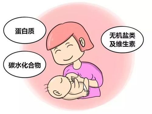 站长精选：母乳喂养，你真的了解这10个要点吗？