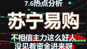 苏宁易购直面挑战：家电巨头激战，无政府补贴如何逆风翻盘？