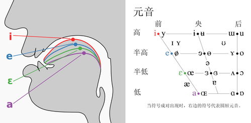 拼音中的声调如何影响读音，不同地方的发音差异你了解吗？