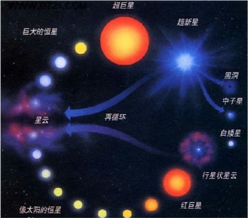 九恒星的实际表现如何？知乎用户对其评价又是怎样的？