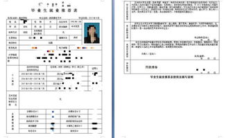 如何填写个人履历？在校学生填写个人履历的正确方法