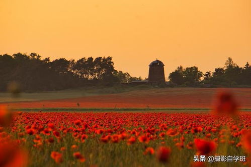 风光摄影难题不再？掌握这10个技巧，拍出绝美风景画面！