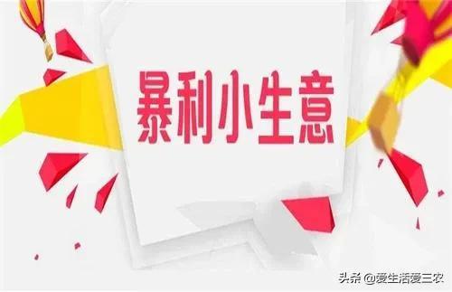 你知道哪些小生意能轻松赚取暴利吗？揭秘十大高利润项目