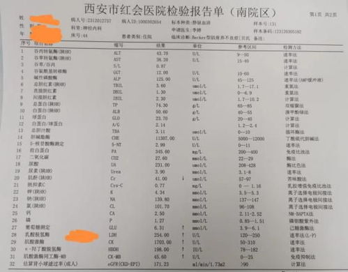 哪些因素导致肌酸激酶增高？盘点十大常见原因