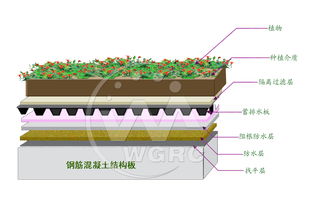 屋顶花园建造：掌握这些关键技术，你的绿化工程能成功吗？