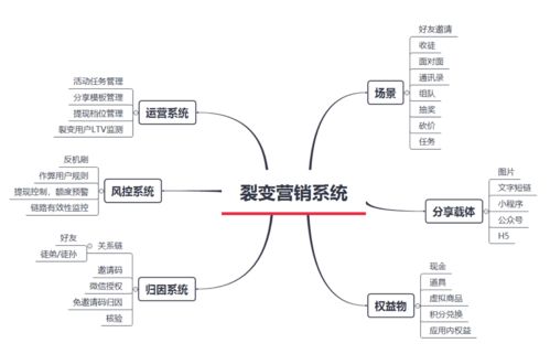 如何在网络上实现稳定收入？探索网上赚钱的有效途径