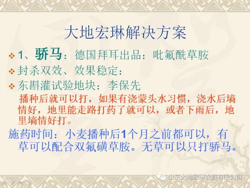 如何成为一名优秀的中医养生贴代理？有哪些关键步骤和技巧？